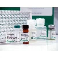 XRT通用检测试剂盒