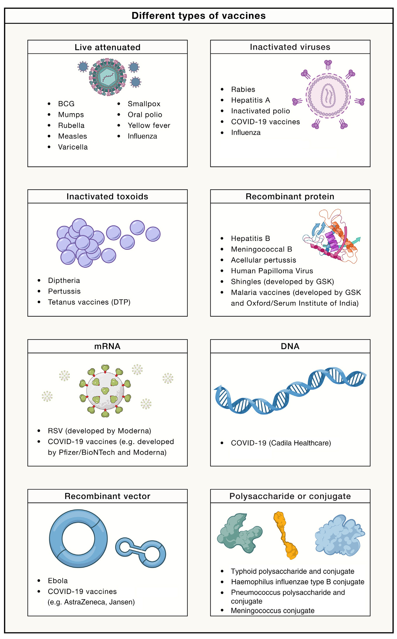 了解疫苗开发的“前世今生”，绘制全球传染病疫苗研发蓝图：Cell 50周年特刊和Nature重磅综述