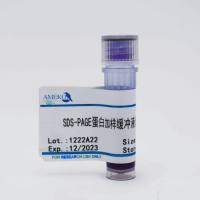 SDS-PAGE蛋白加样缓冲液(5×,含DTT)，RC21154-10ml