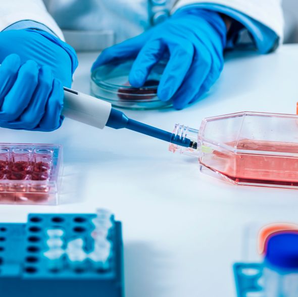 ATCC原装进口培养基30-2003