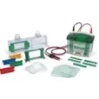 1658001伯乐Bio-Rad Mini-PROTEAN Tetra Cell for 1.0 mm Gels