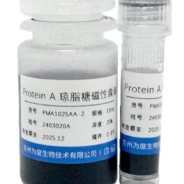 Protein A琼脂糖磁性微球-抗体纯化的理想选择