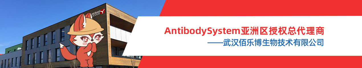 AntibodySystem 强势布局亚洲，佰乐博生物成为亚洲总代理商