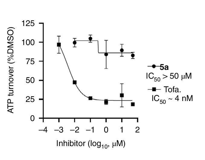 对CTK激酶家族可能不熟悉，但对Ta的“子女”绝对耳熟能详