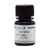 DAPI染色液(10ug/ml)，RC20276-10ml