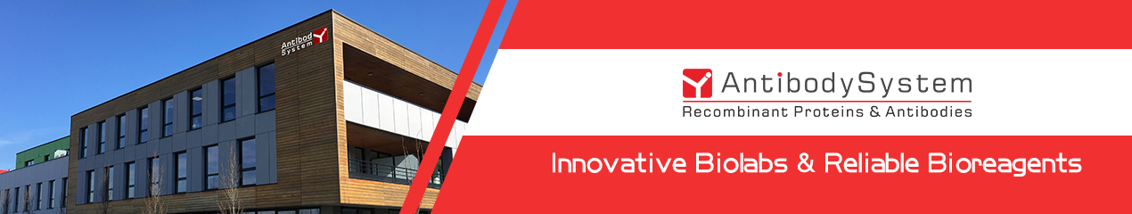 Recombinant Human CD354/TREM1