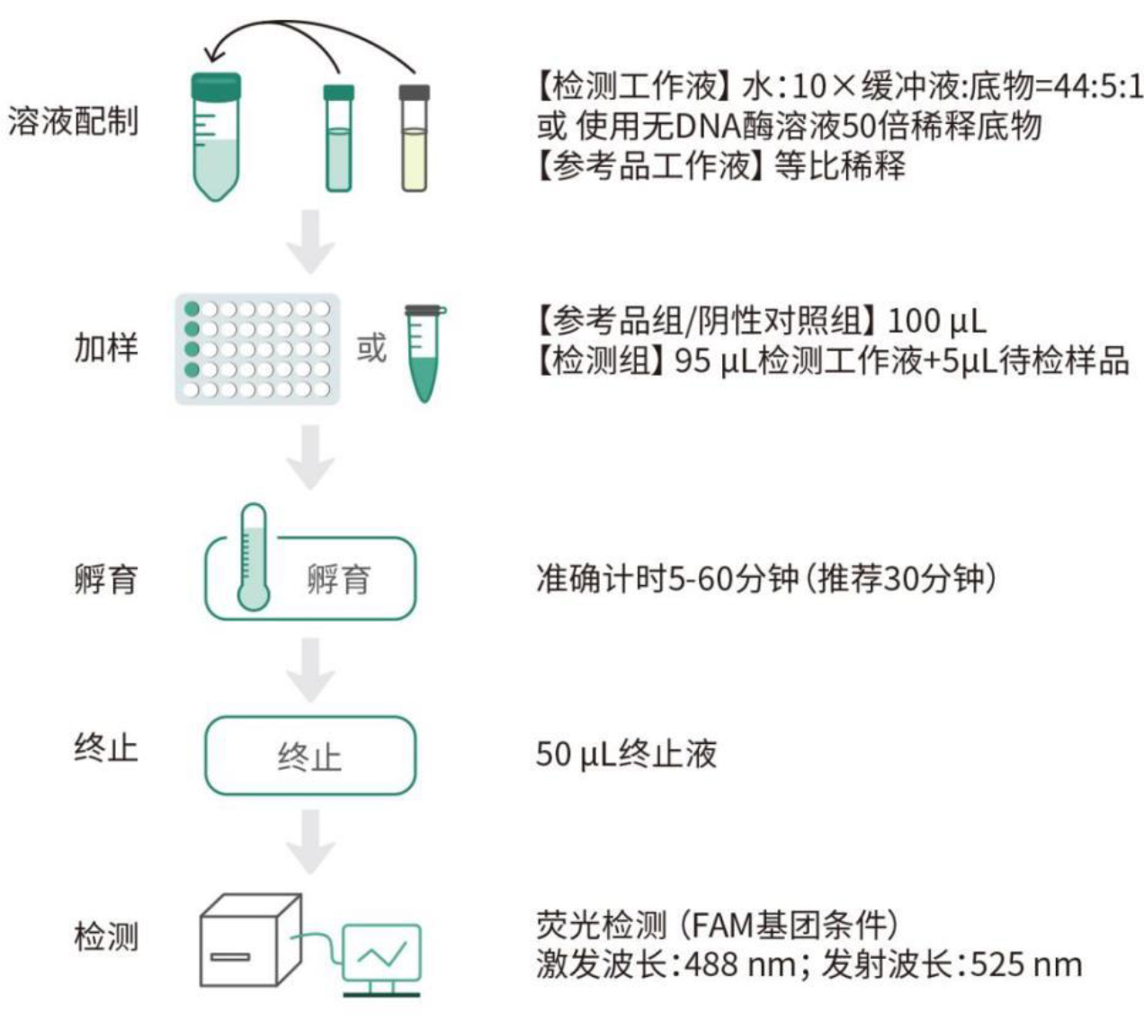 新品上市！让核酸酶质量和残留控制像测定蛋白浓度一样简单