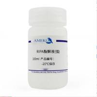 RIPA裂解液(强)，RC21237-100ml
