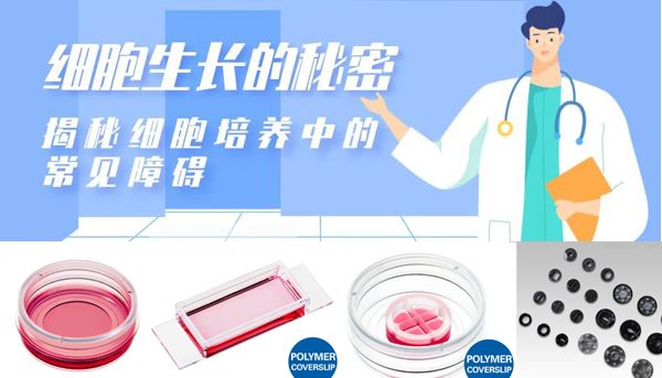 细胞培养时会遇到哪些问题？揭秘细胞培养中的常见障碍~