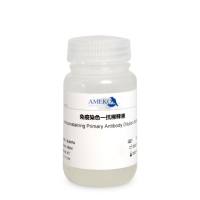 免疫染色一抗稀释液,RC20929-100ml