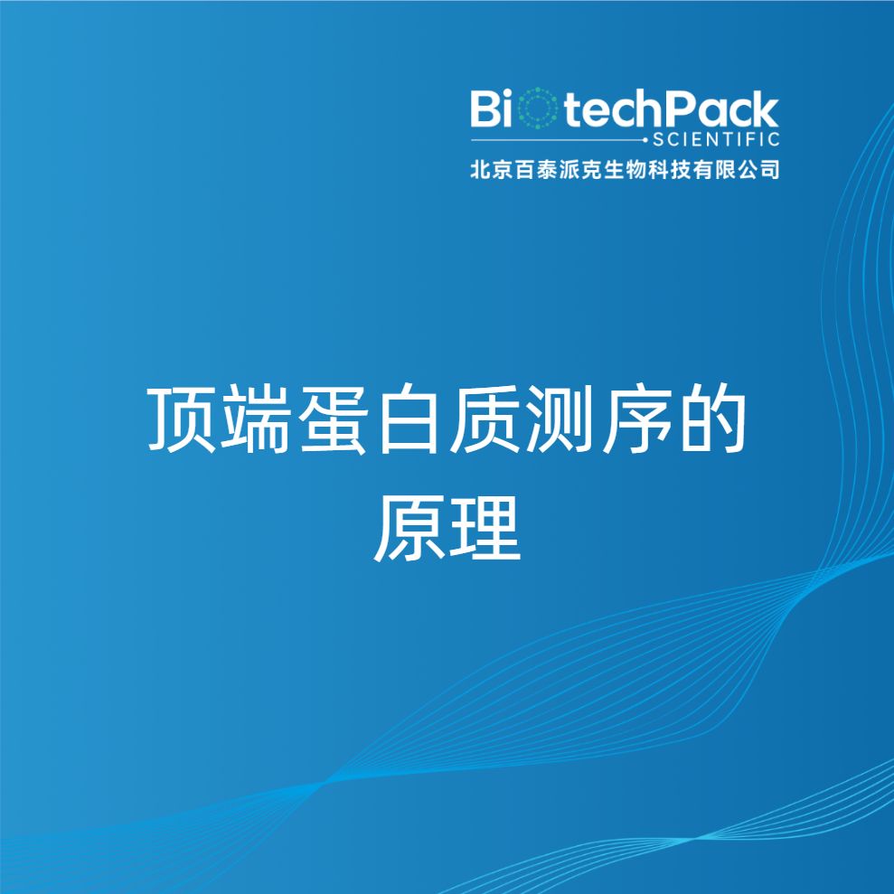 顶端蛋白质测序的原理