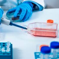 ATCC原装培养基30-2001