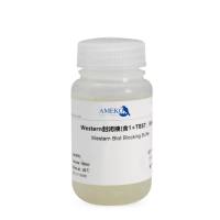 Western封闭液,RC21304-100ml