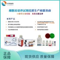 间充质干细胞/IPS多功能干细胞/干细胞培养基