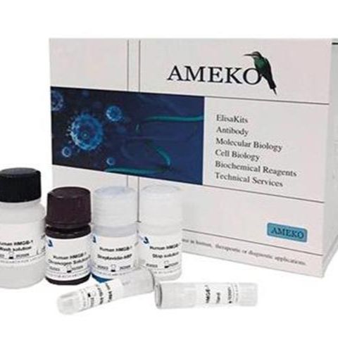 鱼Ⅲ型胶原(COL-Ⅲ)ELISA Kit,AE98511Fi-48T