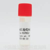 施氏葡萄球菌凝集亚种	 