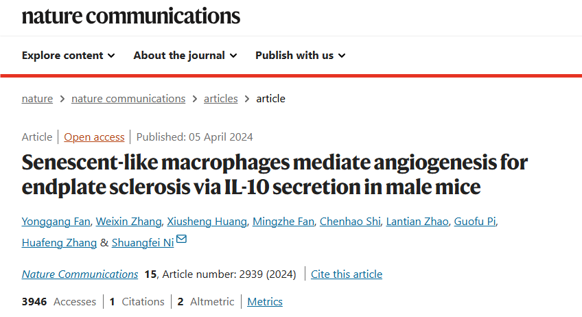 客户文章|Nature子刊 (IF=12.121)衰老样巨噬细胞通过雄性小鼠分泌 IL-10 介导终板硬化血管生成