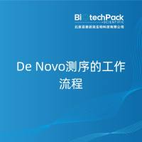 De Novo测序的工作流程