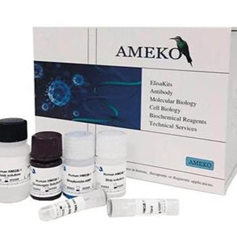 猪细小病毒抗体(CPV-Ab)ELISA Kit，AE93755Po-96T