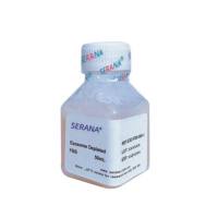 SERANA® 无外泌体血清 