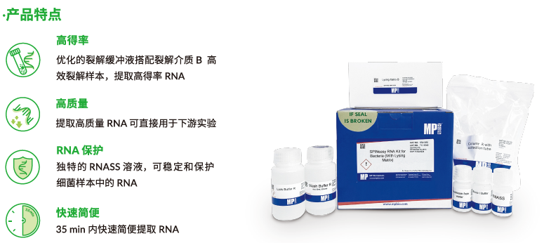 SPINeasy™ 细菌总RNA提取试剂盒，含裂解介质B