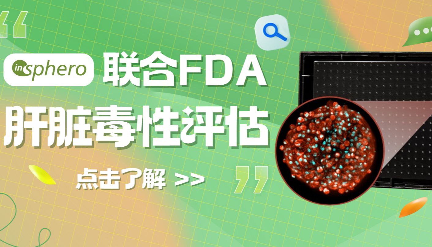 InSphero联合FDA使用肝脏微球对152种药物进行肝脏毒性评估_曼博生物