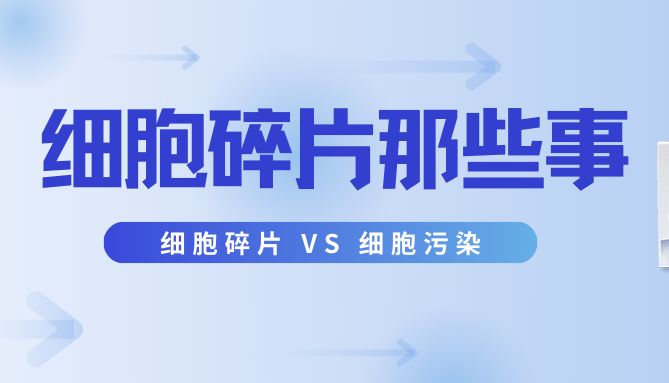 细胞碎片和细胞污染傻傻分不清？