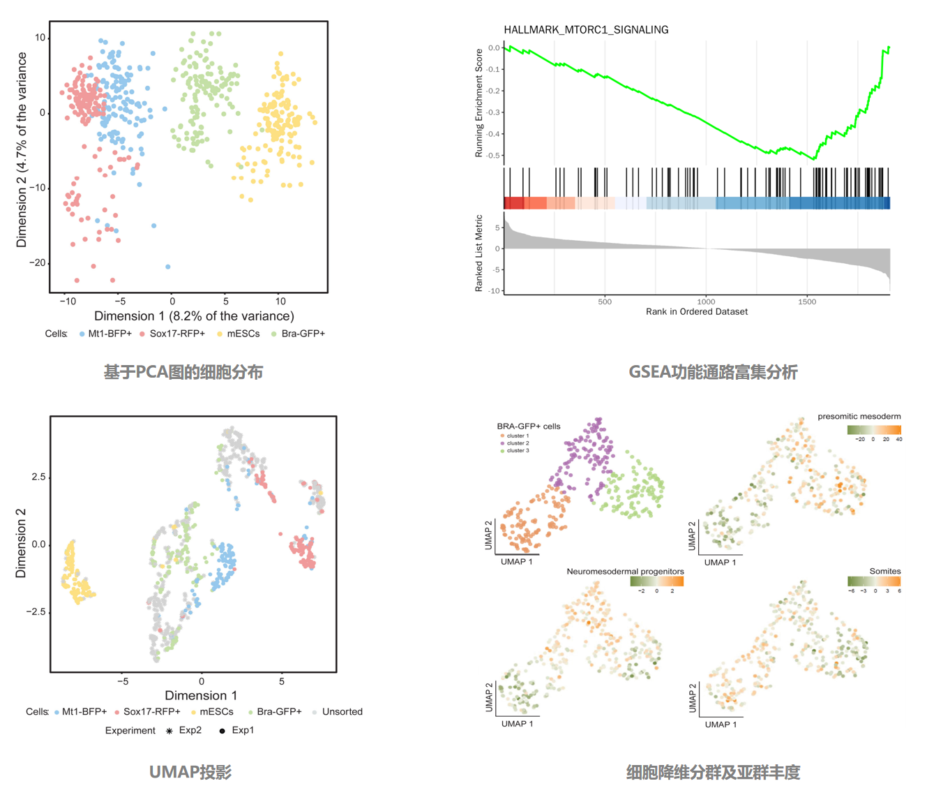 单细胞蛋白质组学分析5.png