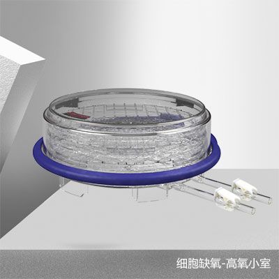 MIC-102细胞缺氧试验培养箱-细胞缺氧装置-细胞缺氧箱