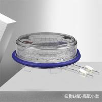 MIC-102细胞缺氧试验培养箱-细胞缺氧装置-细胞缺氧箱