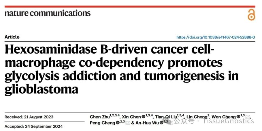 Tissue Cytometry单细胞多色技术助力胶质母细胞瘤关键代谢调节信号通路的作用机制研究