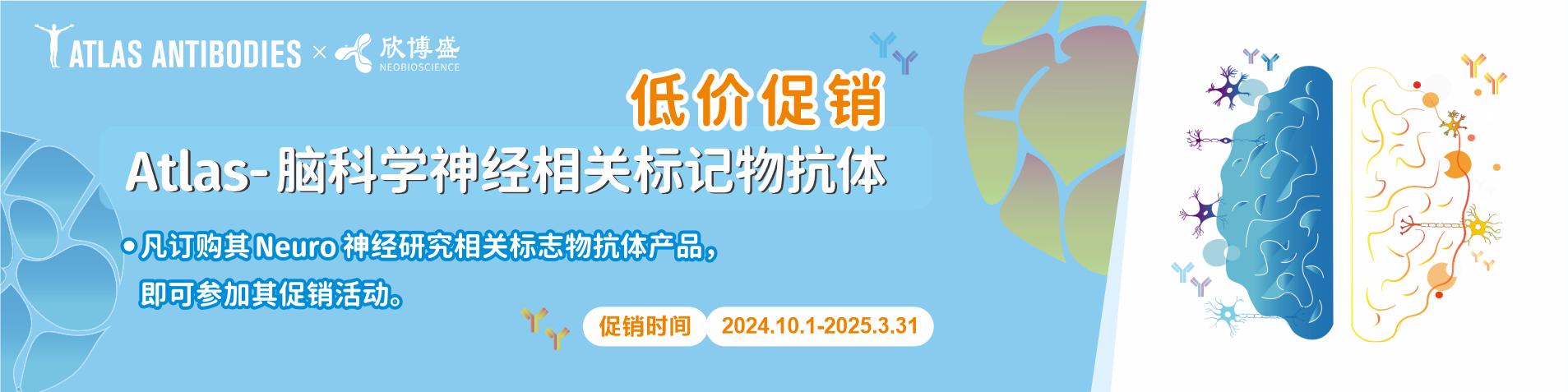 Atlas antibodies——脑科学神经相关标记物抗体低价促销