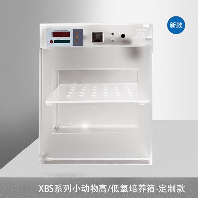 XBS-03-2小动物低氧培养箱低氧装置低氧实验