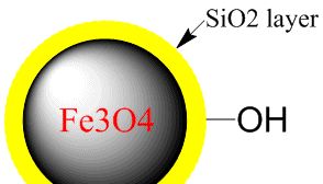 磁珠在核酸提取过程中是如何工作的？