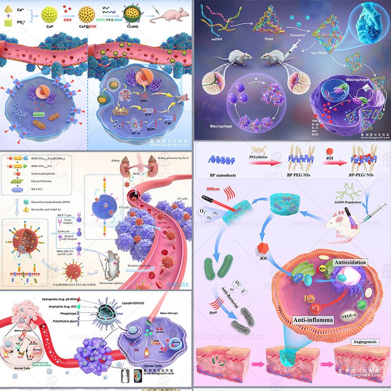 医学论文配图设计