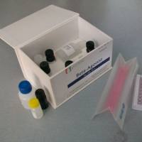 小反刍兽疫病毒荧光RT-PCR检测试剂盒