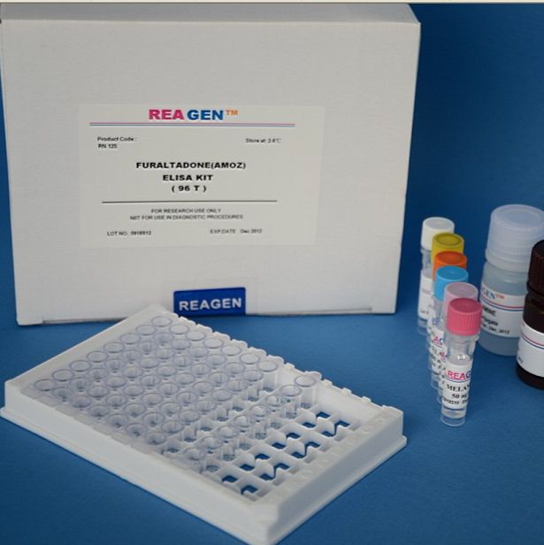 禽流感病毒通用型荧光RT-PCR检测试剂盒