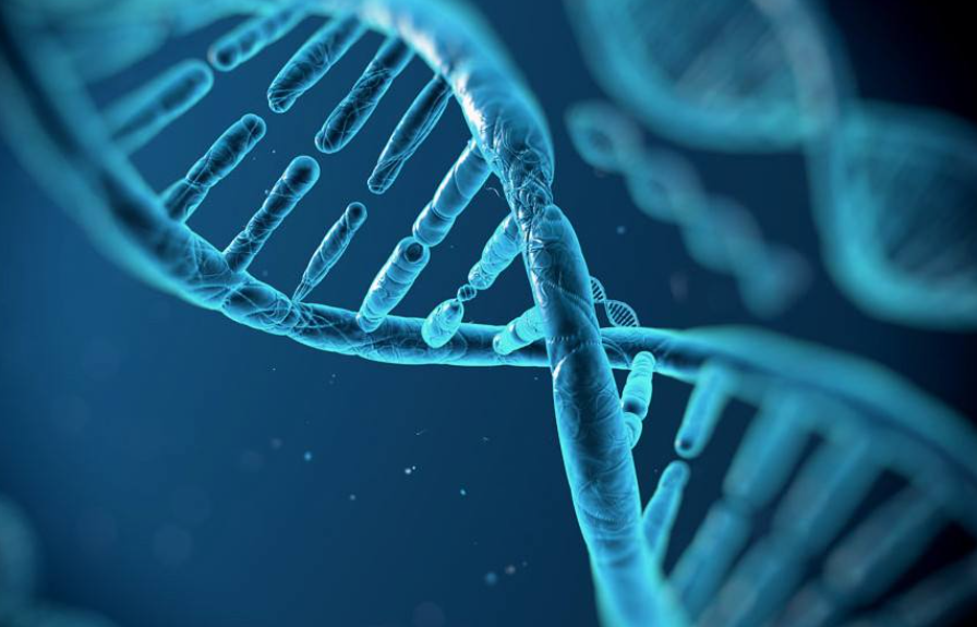 一针注射，癌细胞转化为“免疫卫士”！科学家成功将癌细胞“驯化”成免疫细胞，并在体内持久产生抗癌反应