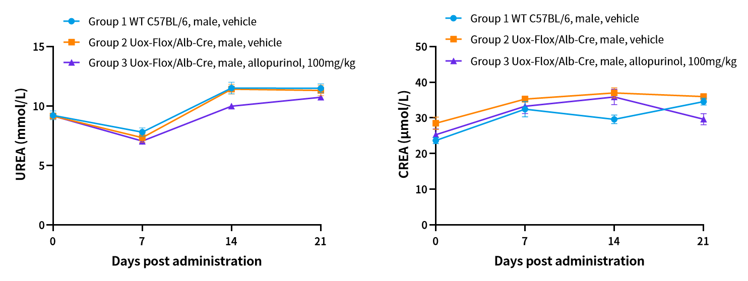 疾病模型 | 高尿酸血症小鼠模型