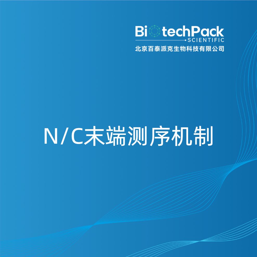 N/C末端测序机制产品图