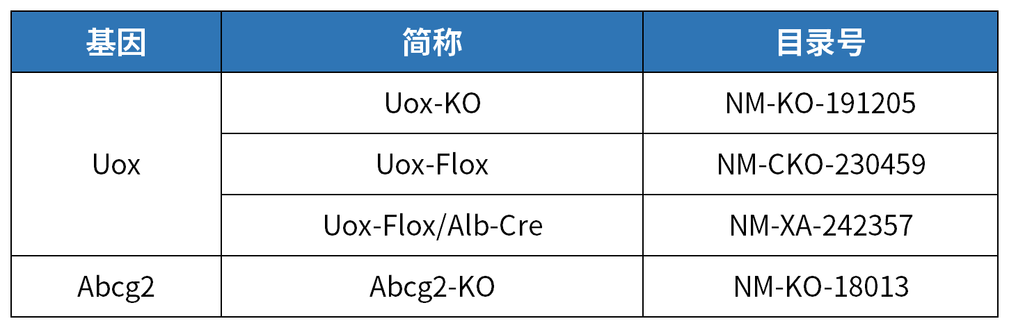 疾病模型 | 高尿酸血症小鼠模型