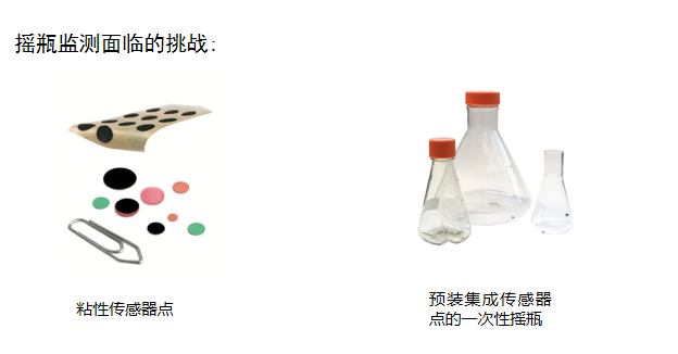 微生物摇瓶培养过程中溶解氧的实时监测
