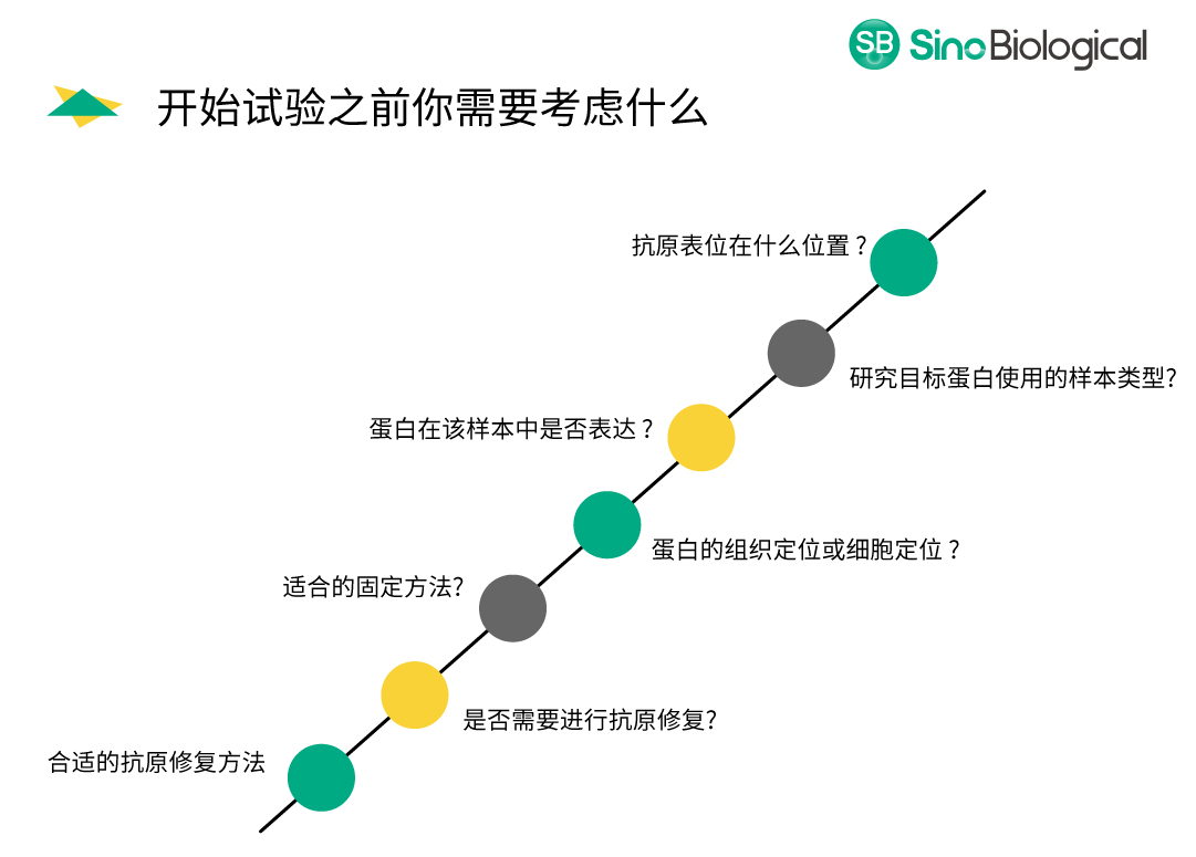 仅需12步，助你做出完美免疫组化IHC片子