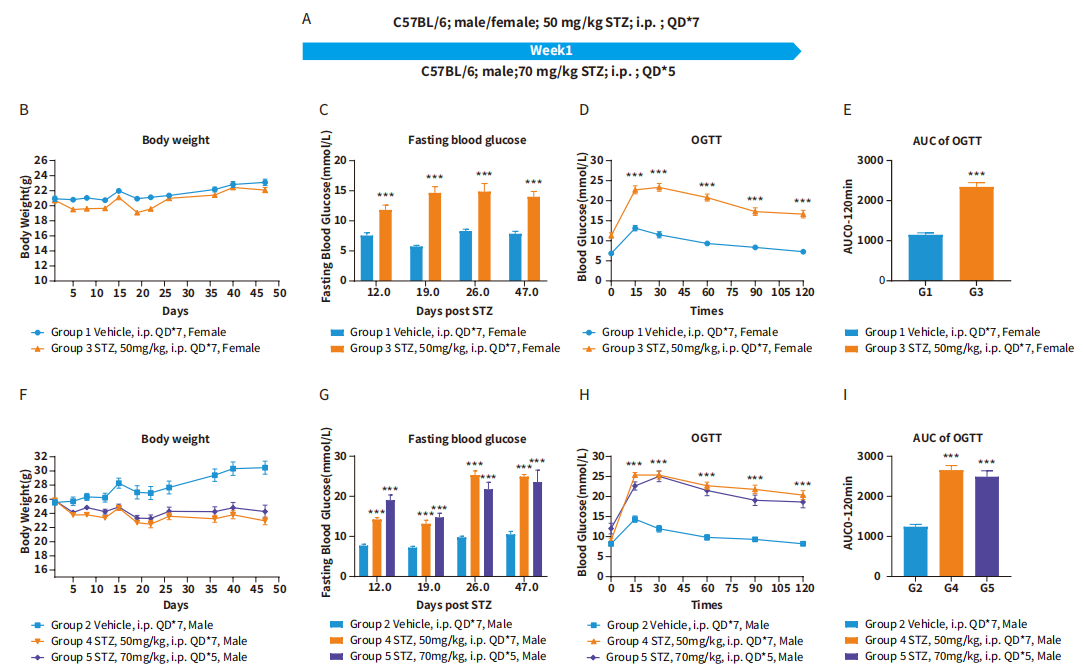国际糖尿病日，这些糖尿病动物模型有大用！