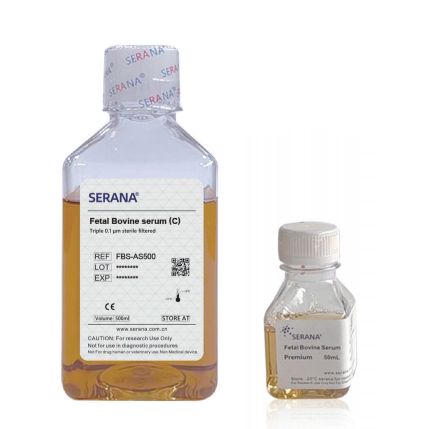 优质 胎牛 血清