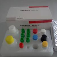 口蹄疫病毒通用型荧光RT-PCR检测试剂盒