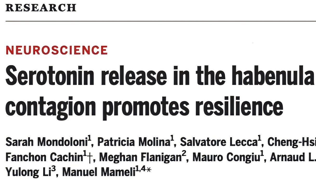 Science |  钙成像和光遗传技术揭示逆境中情绪感染发挥积极作用的关键因素