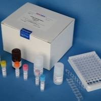 牛结节性皮肤病病毒荧光PCR检测试剂盒