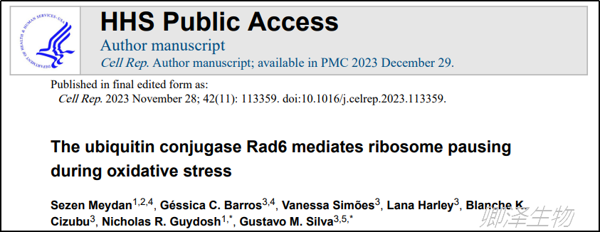 Cell Rep. | 核糖体测序技术助力揭示酵母中Rad6介导的翻译调控机制
