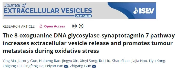王炸!“氧化应激+细胞外囊泡”介导的肿瘤转移，发文15+真的不是极限!!